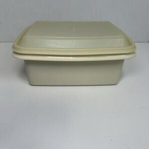 Vintage Tupperware Ice Cream Keeper Freeze N Save Container Frosted 1254